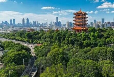 糖心app下载官方版-护航数字安全，正确认知与使用糖心APP官方下载渠道